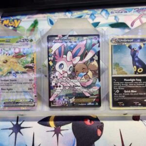 Magnetic Card Display Case Trays